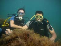    Discover Scuba Diving